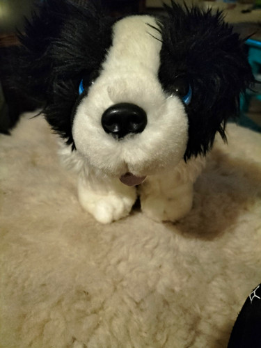Cuddle puppies keel border - cuddle,