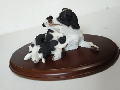 Teviotdale border collie with - teviotdale,,