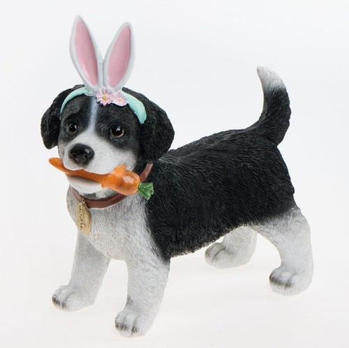 Border collie puppy dog - border,