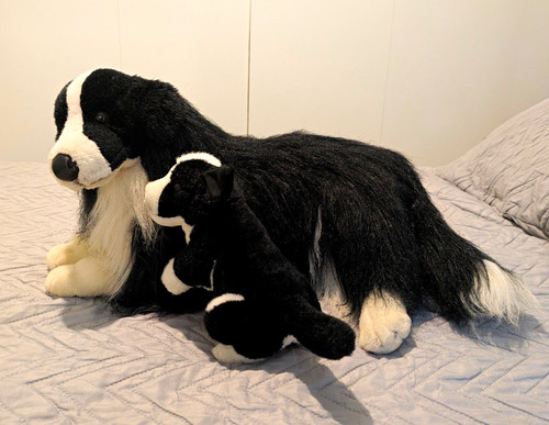 Border collie dog - and, puppy