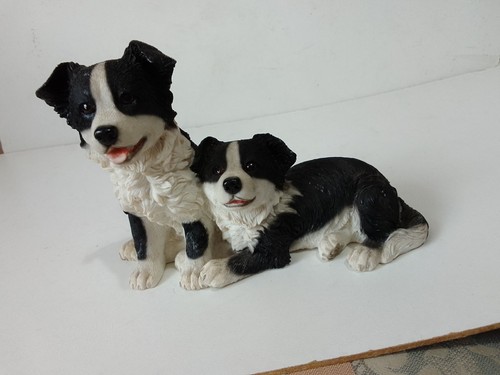Border collie dog puppies by - collie, puppies.