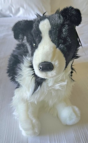 Douglas border collie - douglas,