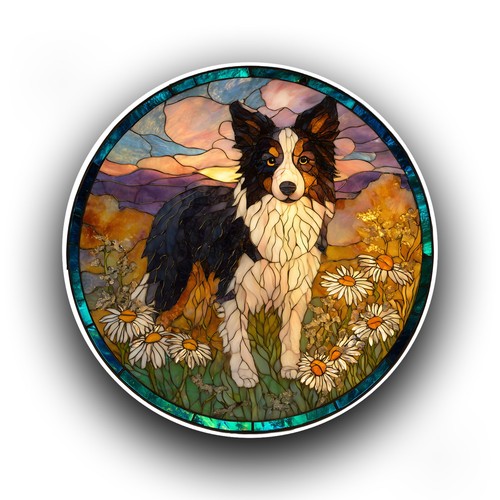Border collie dog puppy - collie,
