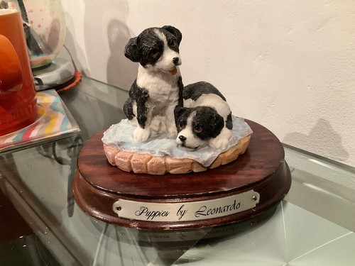 Border collie sheepdog puppies - sheepdog,