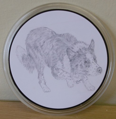 Border collie keyrings - border,
