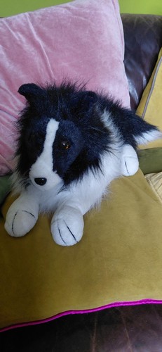 Vintage salco border - salco, collie