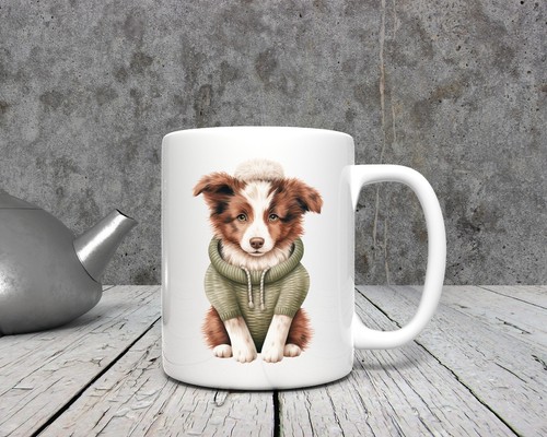 Brown border collie - border,