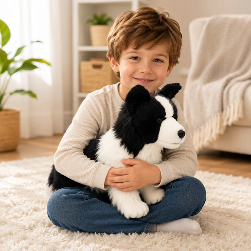 Chase border collie dog - border,
