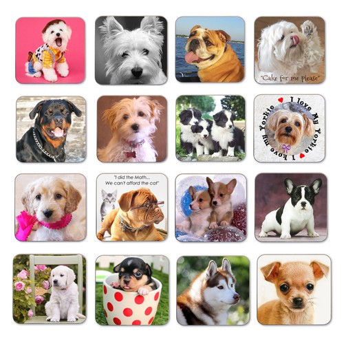 Dog coasters westie - coasters,