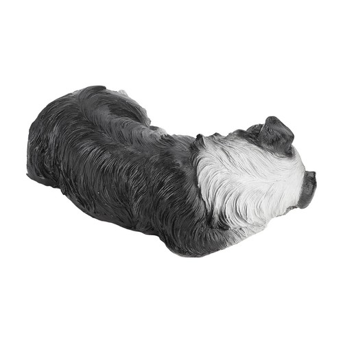 Sleeping puppy border collie - sleeping,
