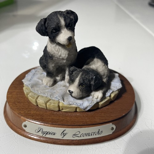 Border collie sheepdog puppies - border,