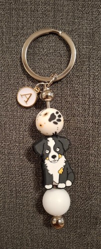 Border collie puppy - , key