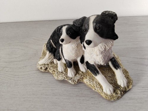 Border collie with puppy - collie,