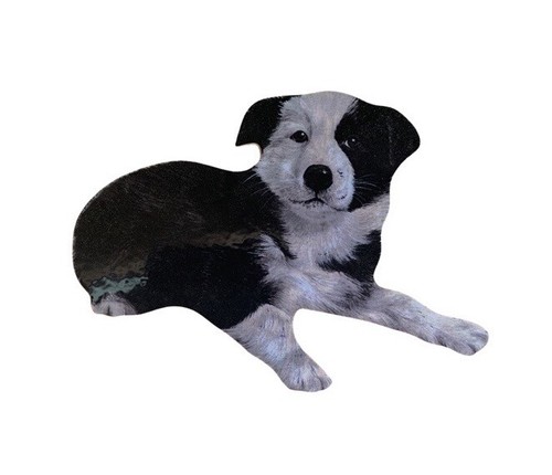 Border collie puppy plaque - collie,