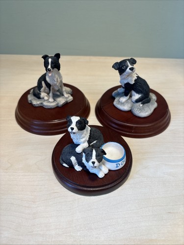 Border fine arts collie dog - border,