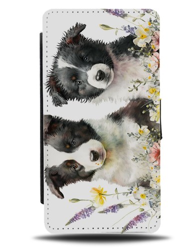 Border collie puppies - border,