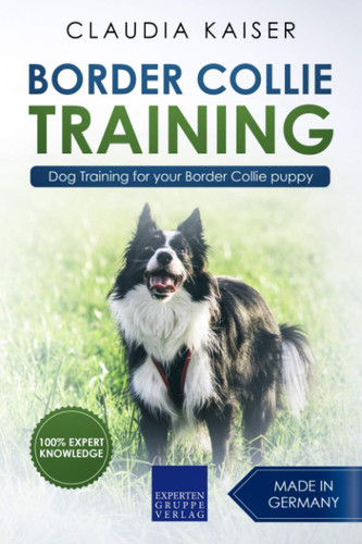 Border collie training - border, training: