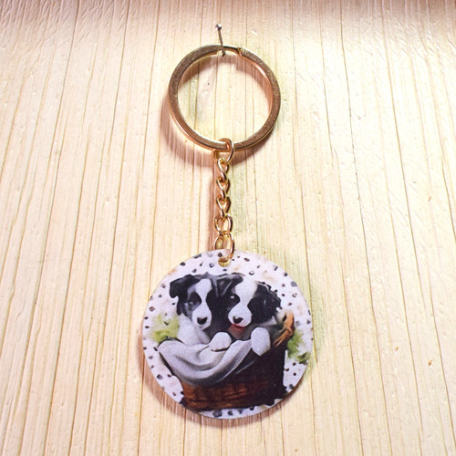 Border collie puppies - collie, keyring