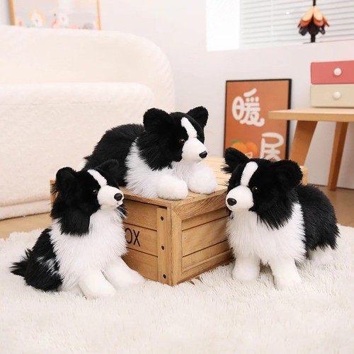 Realistic border collie - realistic,