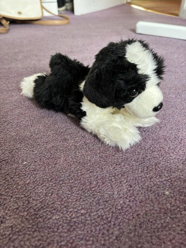Nature babies border collie - babies,